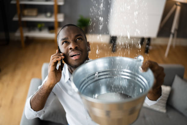Best 24-hour water damage restoration  in Lone Star, TX