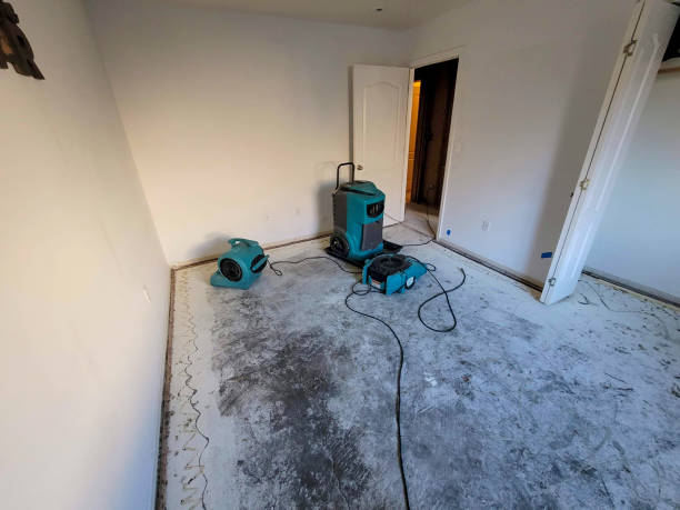 Best Residential water damage restoration  in Lone Star, TX