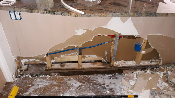 Best Mold removal after water damage  in Lone Star, TX