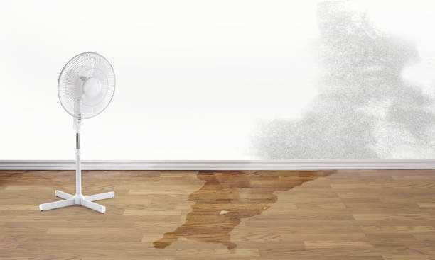 Best Water damage restoration services  in Lone Star, TX