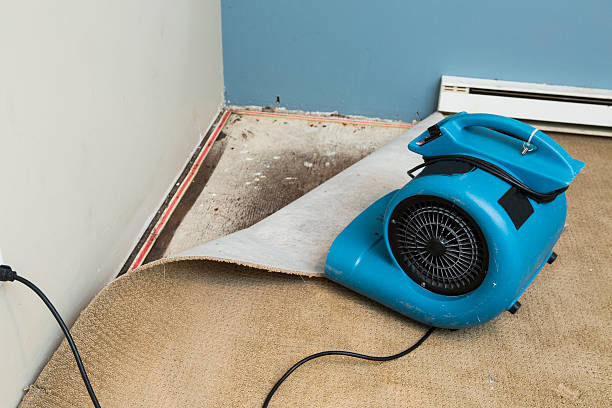 Professional Water damage restoration in Lone Star, TX